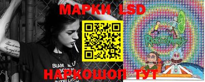 прущие грибы Апшеронск