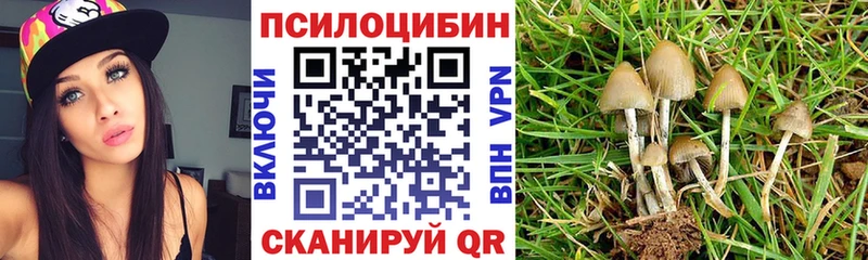 Галлюциногенные грибы Cubensis Владикавказ