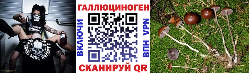 Галлюциногенные грибы прущие грибы  Владикавказ 