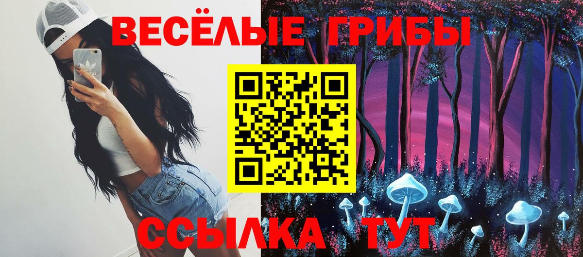 Галлюциногенные грибы Psilocybe Владикавказ