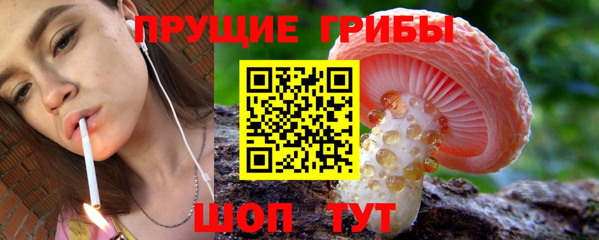 Владикавказ  Галлюциногенные грибы мухоморы  Галлюциногенные грибы прущие грибы  Вход с VPN 